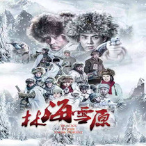 TV series Shinlin Sea Snow Rand TV series DVD disc Li Guangjie Zhang Rui 64 episode
