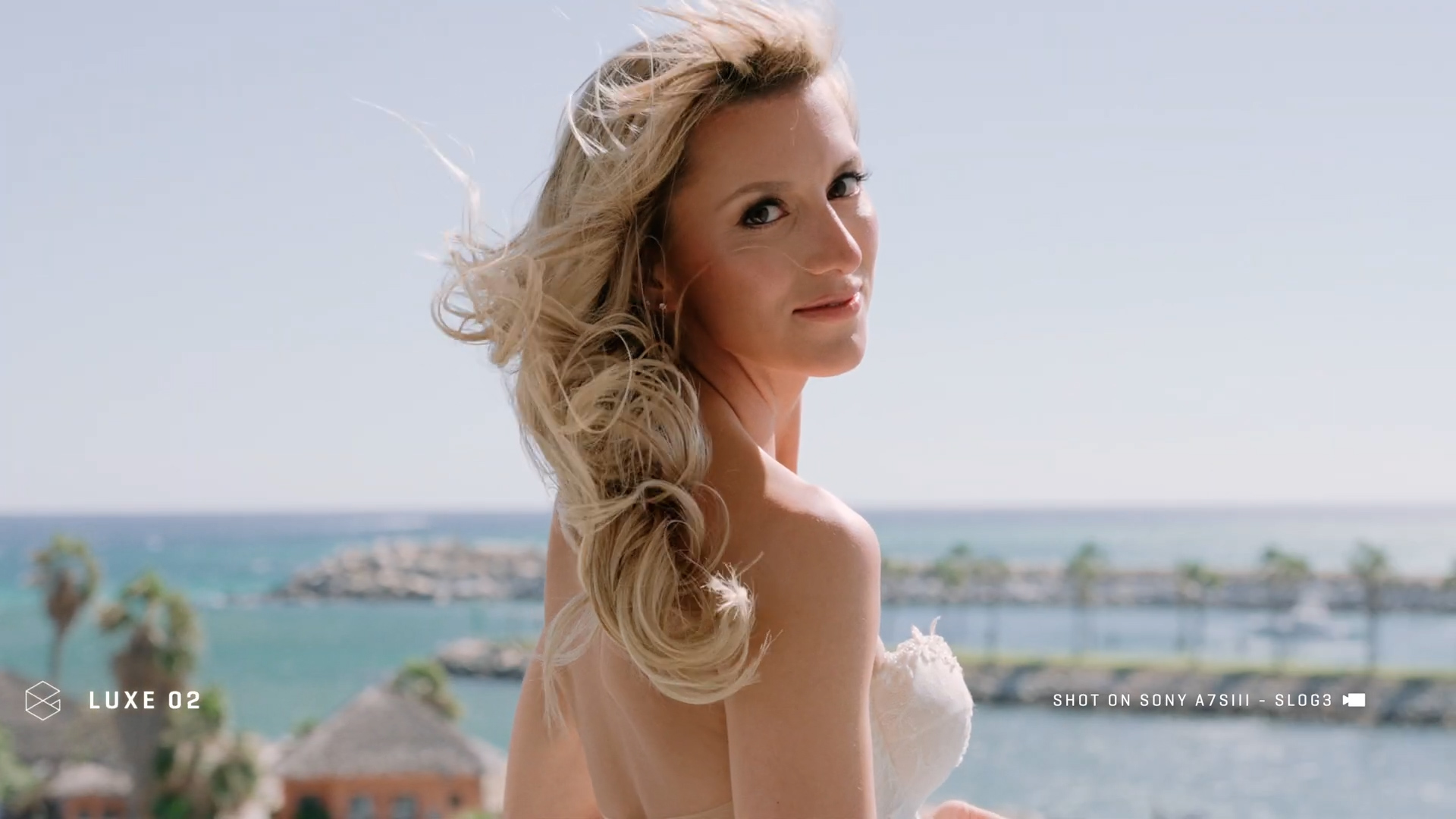 The Luxe LUT Collection by Gamut for How To Film W.jpg