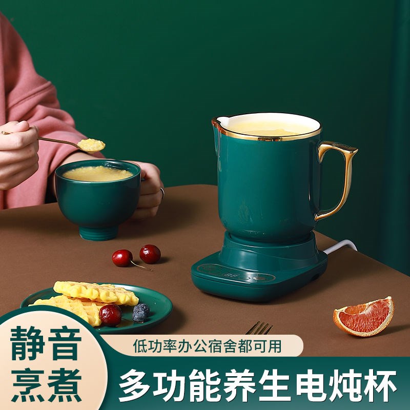 Desk Wellness Pot Multifunction Electric Hot Cup Mini electric saucepan office Heating Boiling Water Cup ceramic Boiled Flower Tea