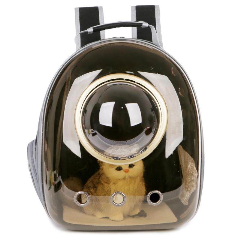 Cat Artificial Cat Outsources Portable Personal Package with Kitty Pet Package Cat