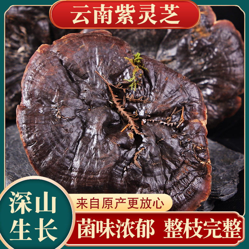 Wild Lingzhi Yunnan Deep Mountain Growth Without Bitter Whole Branches Dry Goods Can Be Sliced Natural Amethyst Guarantee 250 gr