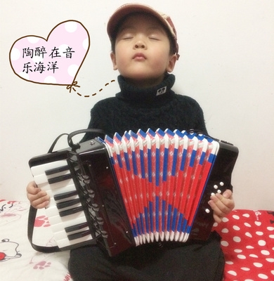 17 Keys 8 Bass Accordion Children Beginners Early Teaching Music Little Mini Musical Instruments Male Girl Toy Gift
