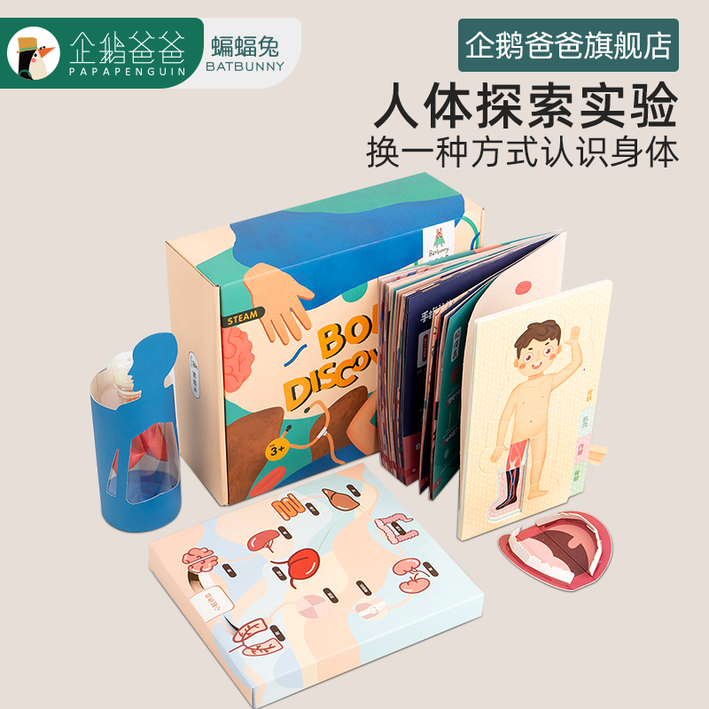 Bat Rabbit Human Body Exploration Box Science Experiment Set Science and Technology Small Production Children's DIY Handmade Material Toys