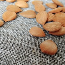 Almond nuts Hebei almond Chengde cooked almonds 500g wild original taste sweet almond South almonds 200g snacks