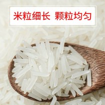 Saucepan Rice Silk Miao Rice New Rice 10 Catty Oil Sticky Rice Long Grain Fragrant Rice 10 Catty price 5KG