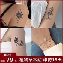60 pieces of herbal tattoo stickers semi-permanent waterproof long-lasting simulation high-end men and women ins style juice tattoo stickers