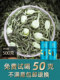 Jasmine tea, new tea, strong flavor, Piao Xue Maofeng Maojian tea, green tea in bulk, total 500g to choose from