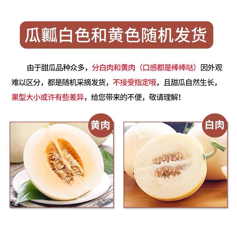 【带箱五斤】正宗陕西阎良现摘小籽甜瓜