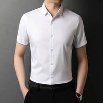 Mulberry silk men's short-sleeved lapel solid color fashion