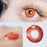 [Daily Throw Type] Dgu Liu xin Orange Red 10 Таблетки