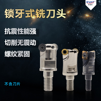 syat locking tooth cutter head thread milling cutter head 11R2 5 13R2 5 17R3 5 25R3 5 shockproof