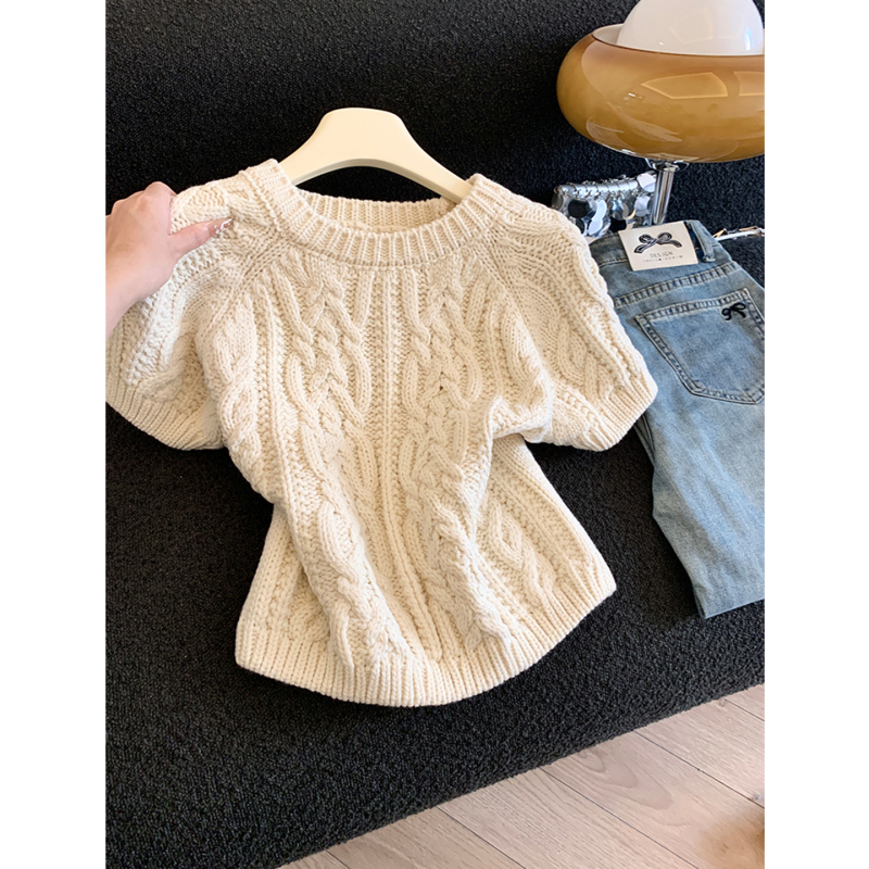 Emily Clud's Selection Recommendation ~ Twisted Pattern Round Neck Short-Sleeved Knitted Vest Layered with Sweater Top for Women Emily Clud's Selection Recommendation ~ Twisted Pattern Round Neck Short-Sleeved Knitted Vest Layered with Sweater Top for Women
