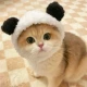 Panda Hat (рекомендуется 3-15 кот)