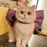 Сиреневый шарф с бантиком