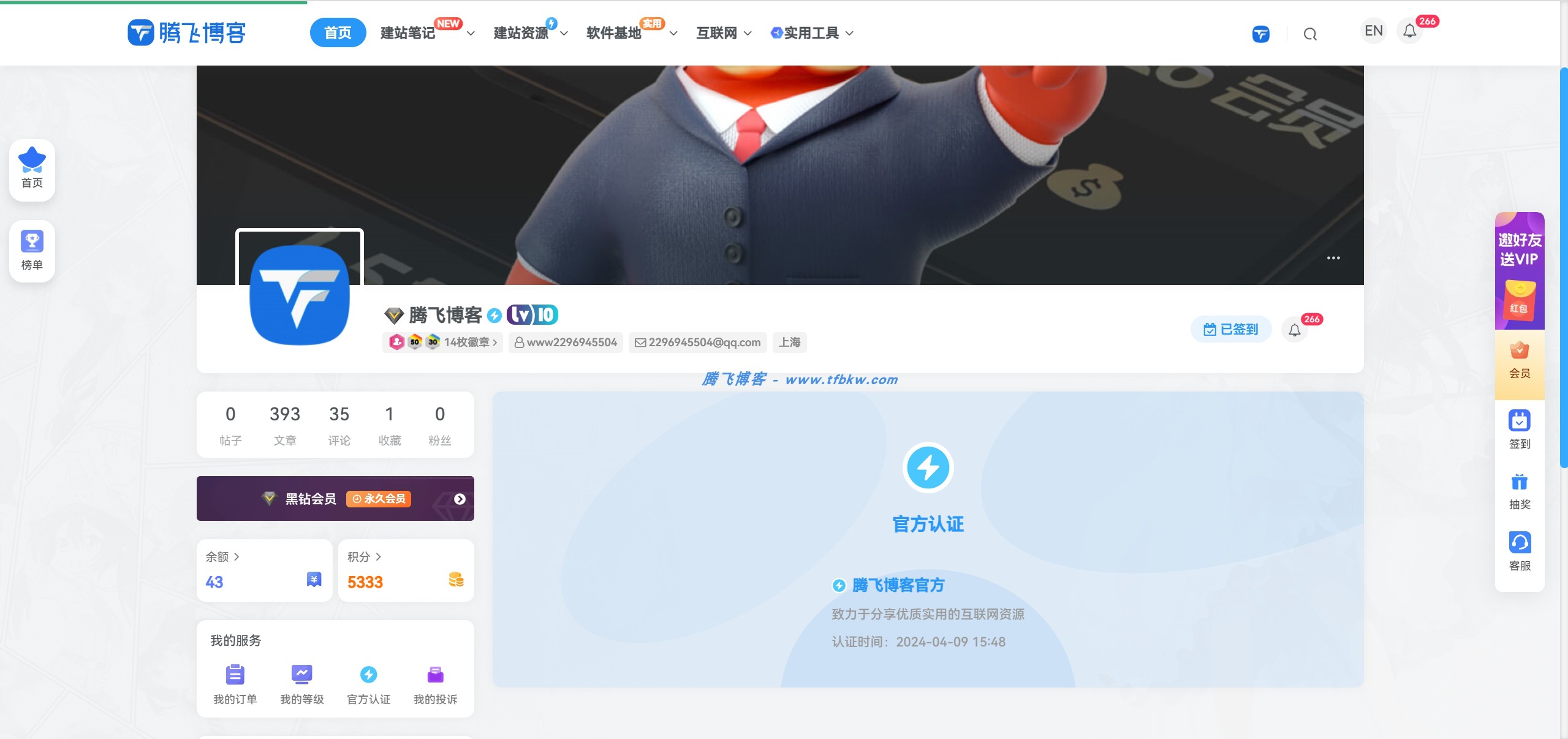 子比主题 – 自定义认证SVG图标美化