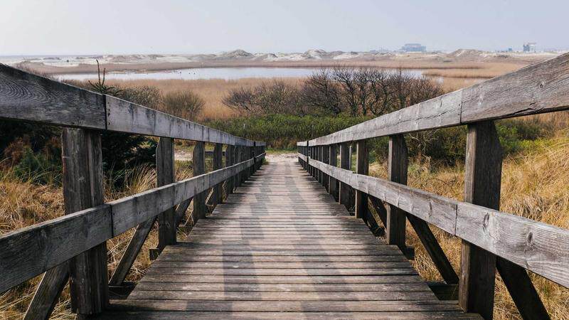 AI芯片算力与数据中心