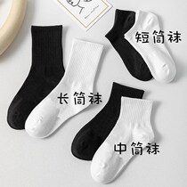 Black socks Women in the middle of the box Sox spring and autumn in winter white Long Sox Sox Sox Sox pure cotton pure color male stocking stockings
