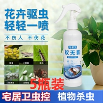 Bellis Shilan House Guwei insecticidal flowers plants flowers and plants special Red Spider scale shell insects aphids 5 bottles