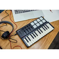 Panda Mini Red Bastlight