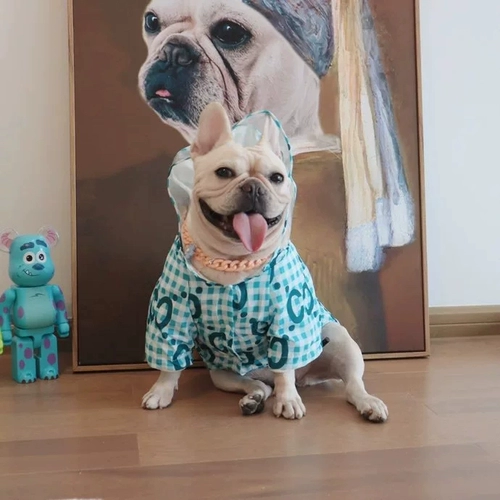 Собака дождливый сладкий пад -пари