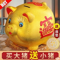Golden pig deposit money pot adults cant open just cant get in and save childrens boys and boys save money online red trembling
