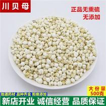 Sichuan Fritillaria 500g Wild Special Grade Sichuan Fritillaria Cough Relief Chinese Medicinal Material Fritillary Fritillaria Feitongrentang