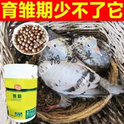 Ôi chim bồ câu y học 900 viên thuốc ấp trứng bồ câu nhân giống sản phẩm sức khỏe thuốc dinh dưỡng đua chim bồ câu chim bồ câu y học - Chim & Chăm sóc chim Supplies