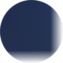 Upscale Ziwei styling vase Ziwei vase Osmanthus Flower Vase Sea-Tang Flower Bottle Villa Courtyard Styling Tree Scenic Tree