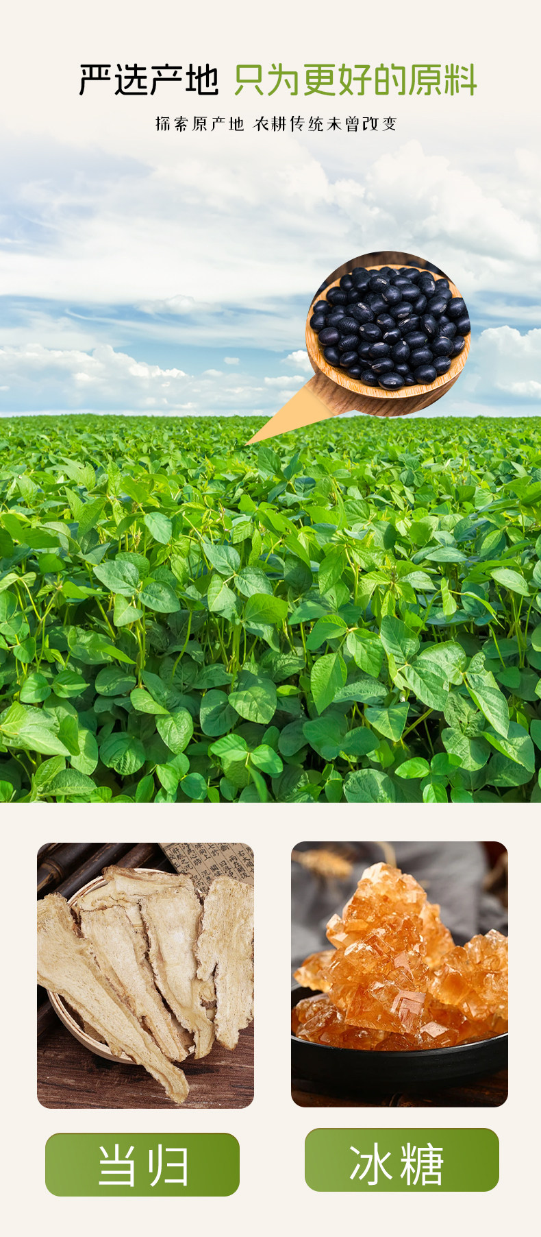 Angelica Black Bean Snack Dang Gui Hei Dou Roasted Crispy Salt-Free 200g Can quality and texture