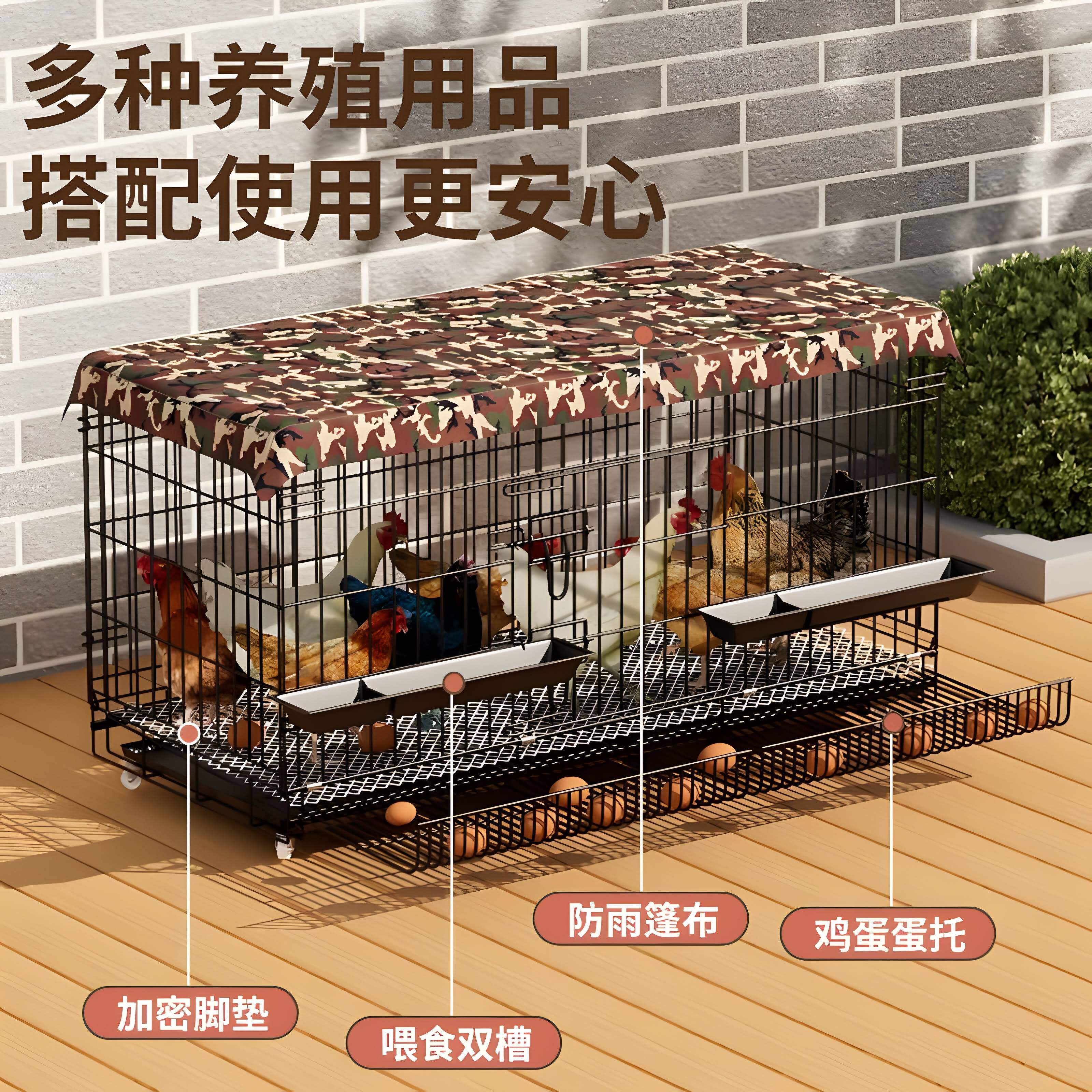 如何选择合适的防雨自动收蛋笼来确保鸡舍安全舒适？