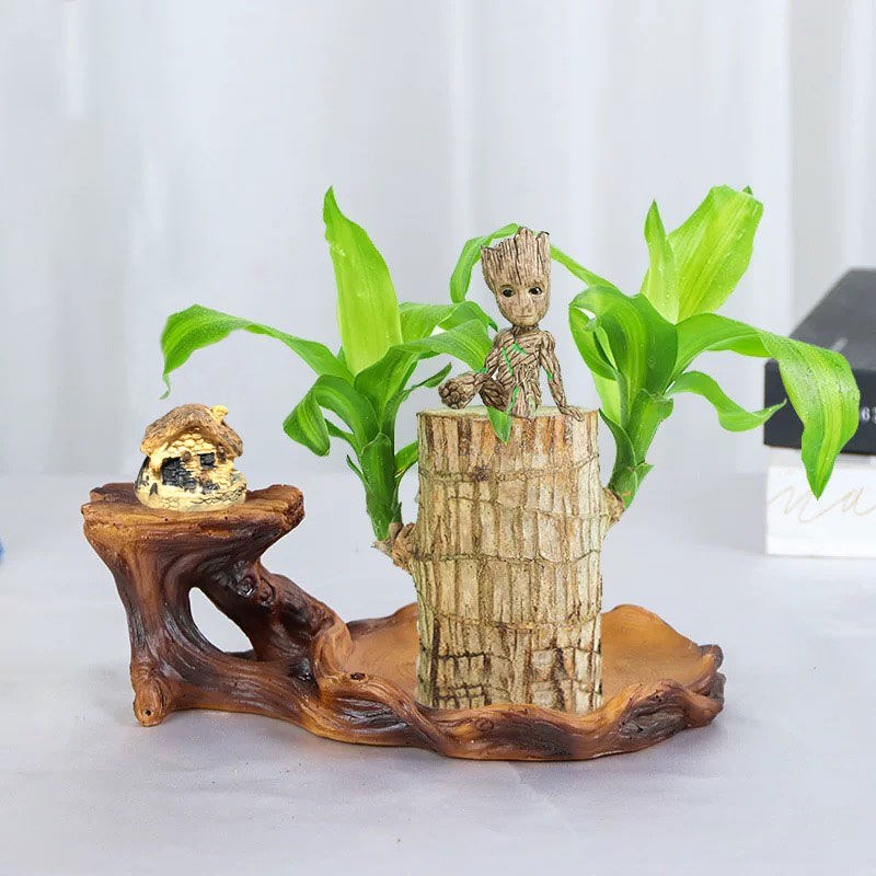 Brazilian Wood Basin Ware Basil Luckily Wood Potted Wood Potted Wood Pendulum Pieces Office Desktop Little Potted Hydroponic Plants