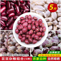 五谷杂粮芸豆组合红芸豆雀蛋豆金丝豆荷包豆五种混合口味新货 5斤