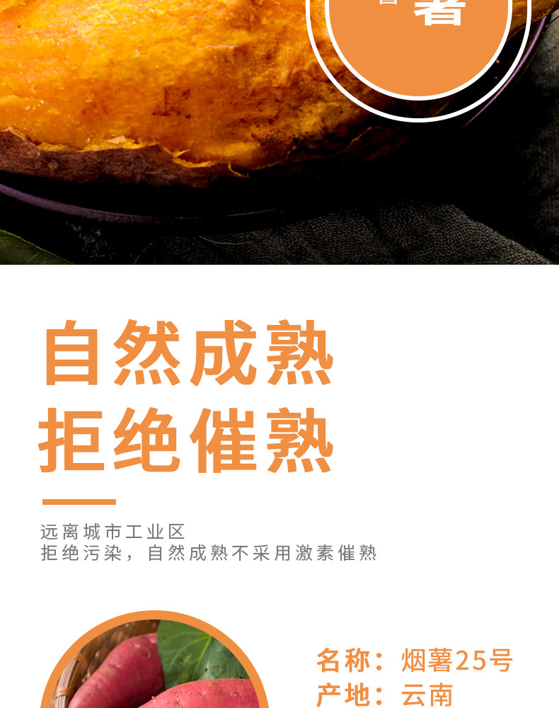 烟薯25号糖心蜜薯净*5斤 图2
