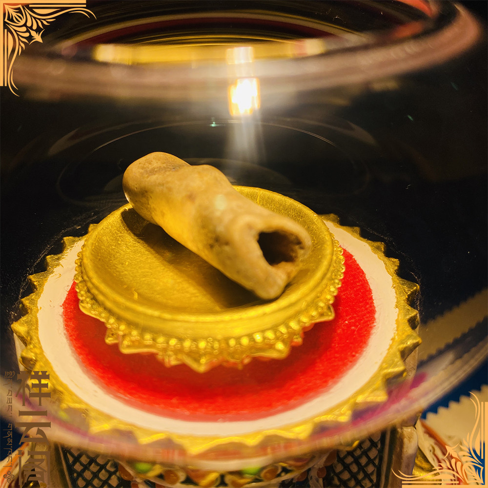 The study gives the one thousand solid sub for the Gaucu Box Sheerita boutique.