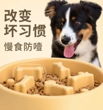 Собачья бассейн чаша для собак медленное горшок собака рис золотой магист