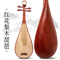 Art Sea Flower Pear Wood Pipa Instrumental Beginology Introductory Adult Red Wood Pipa Qin Yi Cao Class Playing a Bio-Musical Instrument
