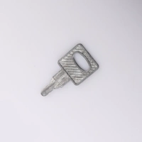 Ключ сфотографировал