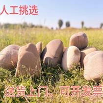 Natural large pebble stone raw stone courtyard fish pond edge pool lawn garden landscaping decoration outdoor room