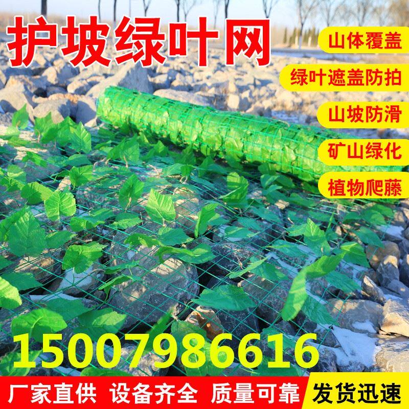 Coal Mine Landslide Protection Durable Mountain Plant Climbing Decoration Grid Corrosion Resistant Green Leaf Covering Mesh Mine Greening