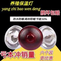 Insulated Light Piglet Insulation Light Bulb Breeding Heating Light Heating Light for Chicken Pig With Insulated Lamp Breeding Insulation Lamp