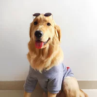 Местные солнцезащитные очки Pet Cat Big Dog Big Dog Солнцезащитные очки Golden Moso Satsuma Main Child Большие бокалы для собак модные аксессуары.