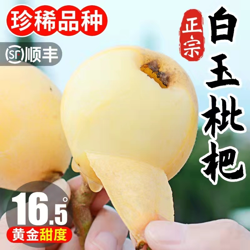 太湖东山白玉枇杷的LOGO