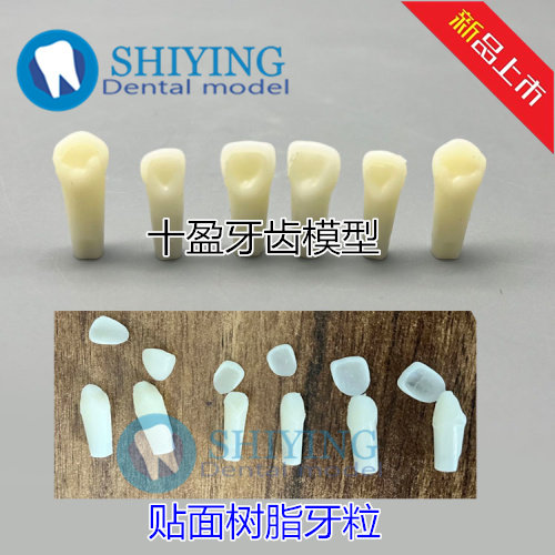 牙科口腔教学模型 嵌体贴面种植牙模型牙科学生练习模型备牙模型
