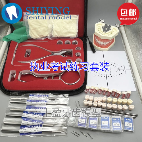 口腔学生考试练习备牙模型树脂离体牙开随髓腔牙粒橡皮章套装包邮