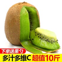 Shaanxi green heart kiwi fruit 10kg kiwi fruit fresh mud monkey confused peach season orchard fresh fruit