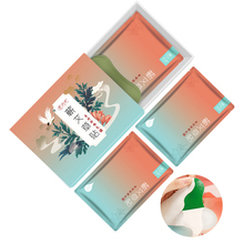 【苏护】李时珍艾灸贴10片