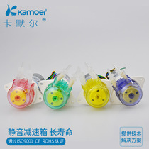 Flow straight 12v-card self-priming pump Mini Pump Hengchuan miniature peristaltic pump flow 24v pumping water pump small water pump bass