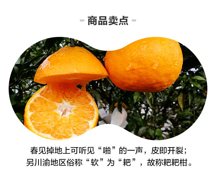 盒马鲜生 四川春见耙耙柑丑橘 3斤 图2