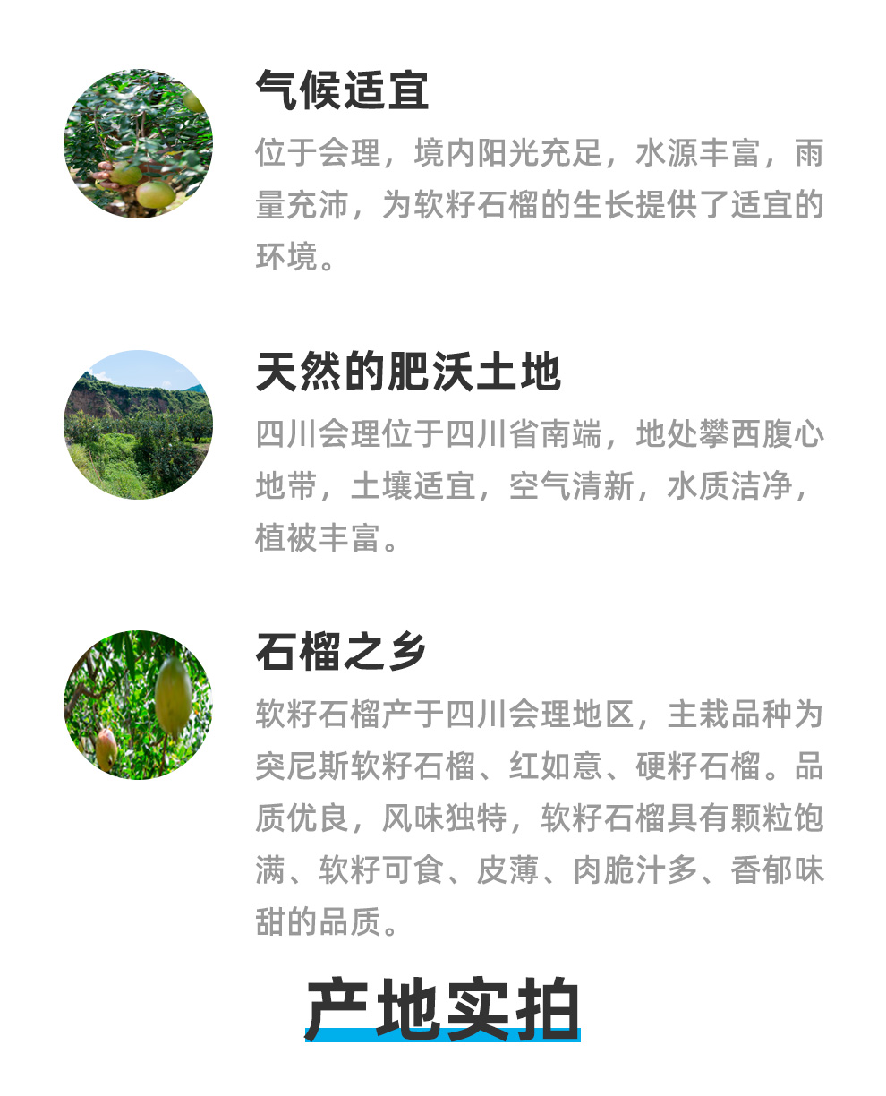盒马 四川会理 突尼斯软籽石榴 8斤 单果350g+ 图3