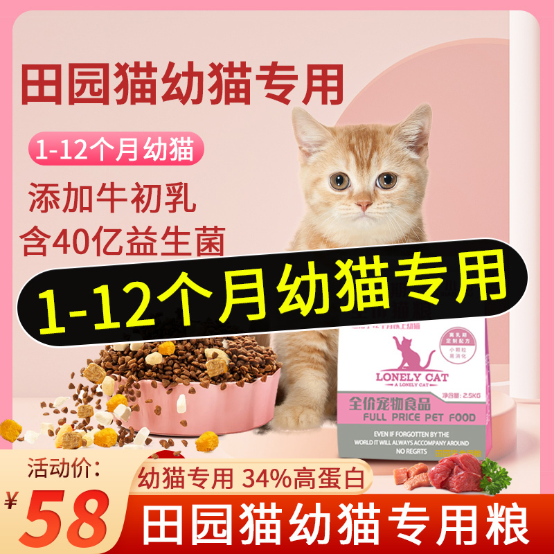 Ranking of the Top 10 Domestic Cat Food Brands for Kittens from 1 to 3 Months and Cats from 4 to 12 Months, Specifically for Rural Tabby Cats and Orange Cats